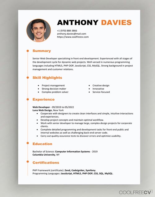 simple and standard resume format