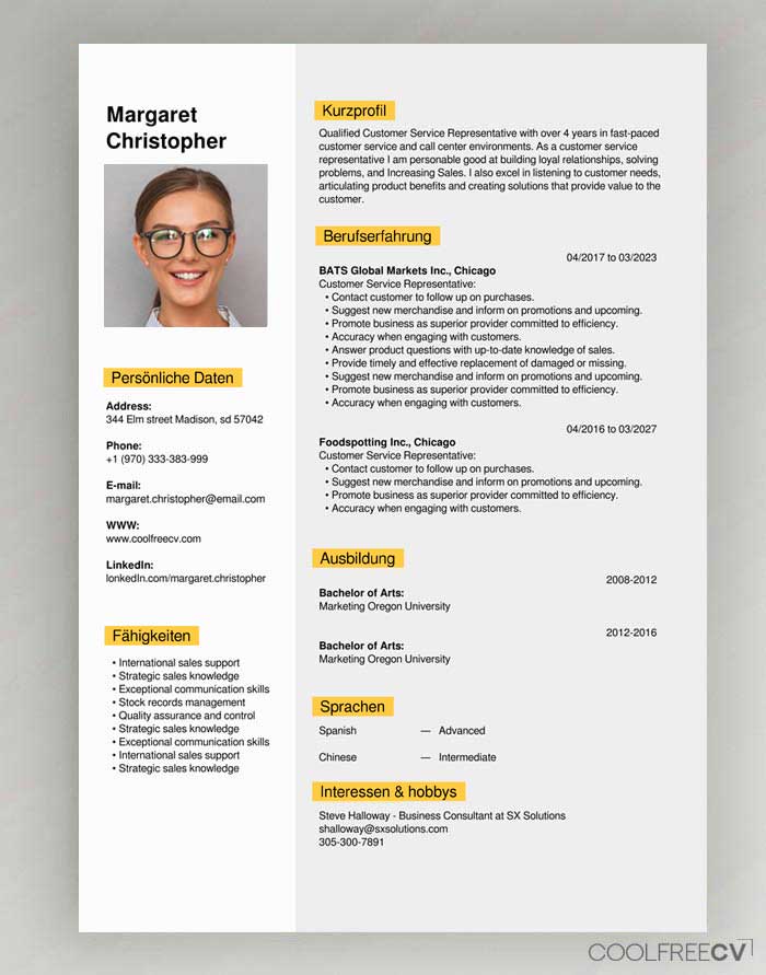 German Resume Template Free Download